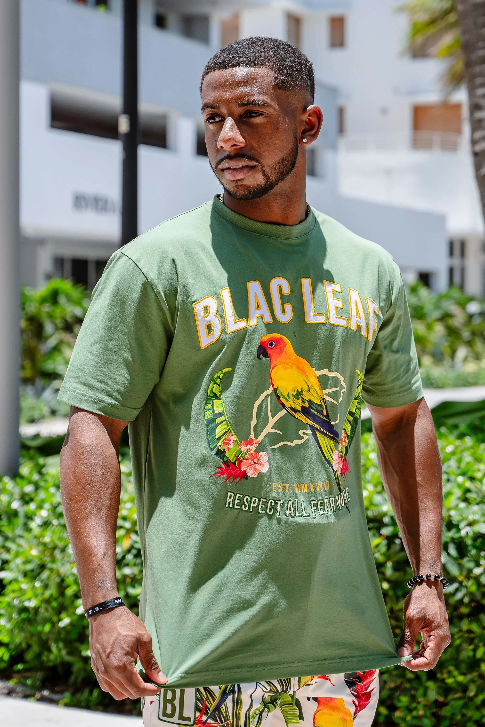 Gentleman Style Shirt Green