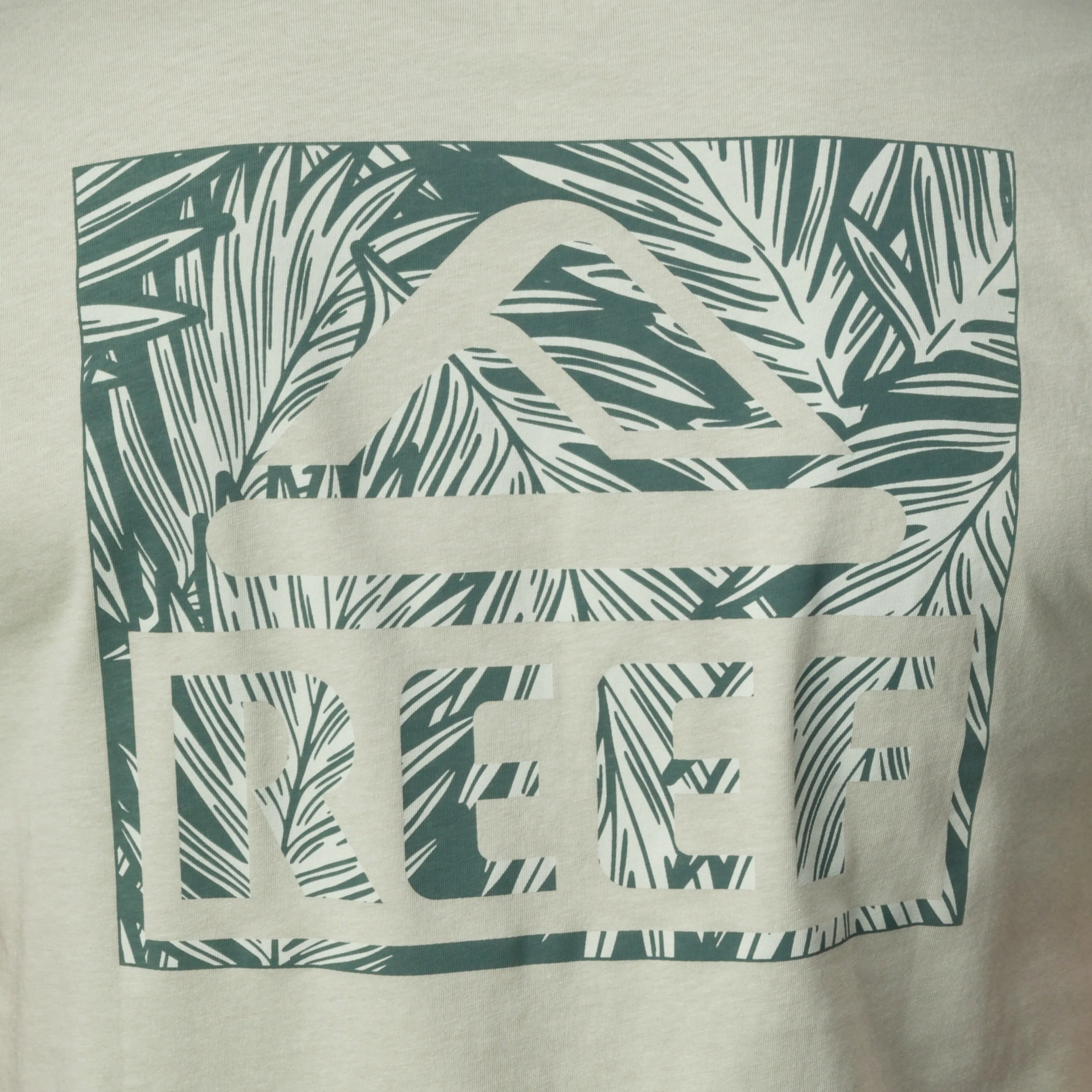 Palms